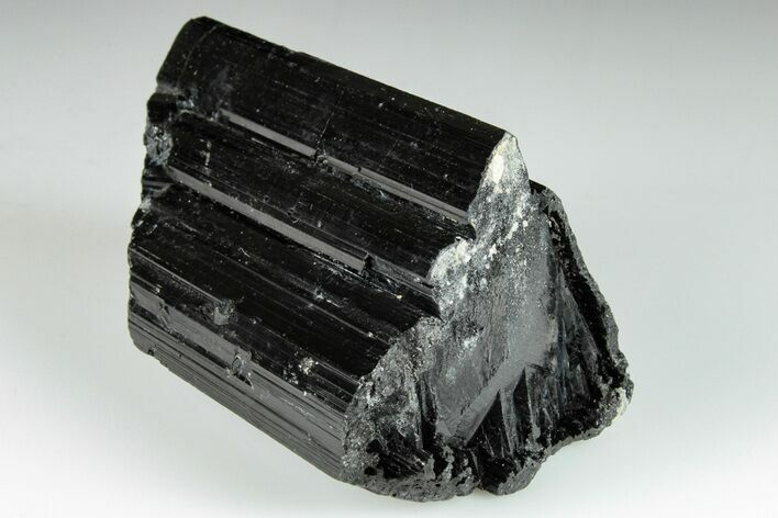 3.35" Terminated Black Tourmaline (Schorl) Crystal - Madagascar